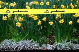 روز طبیعت در ایران/تصاویر