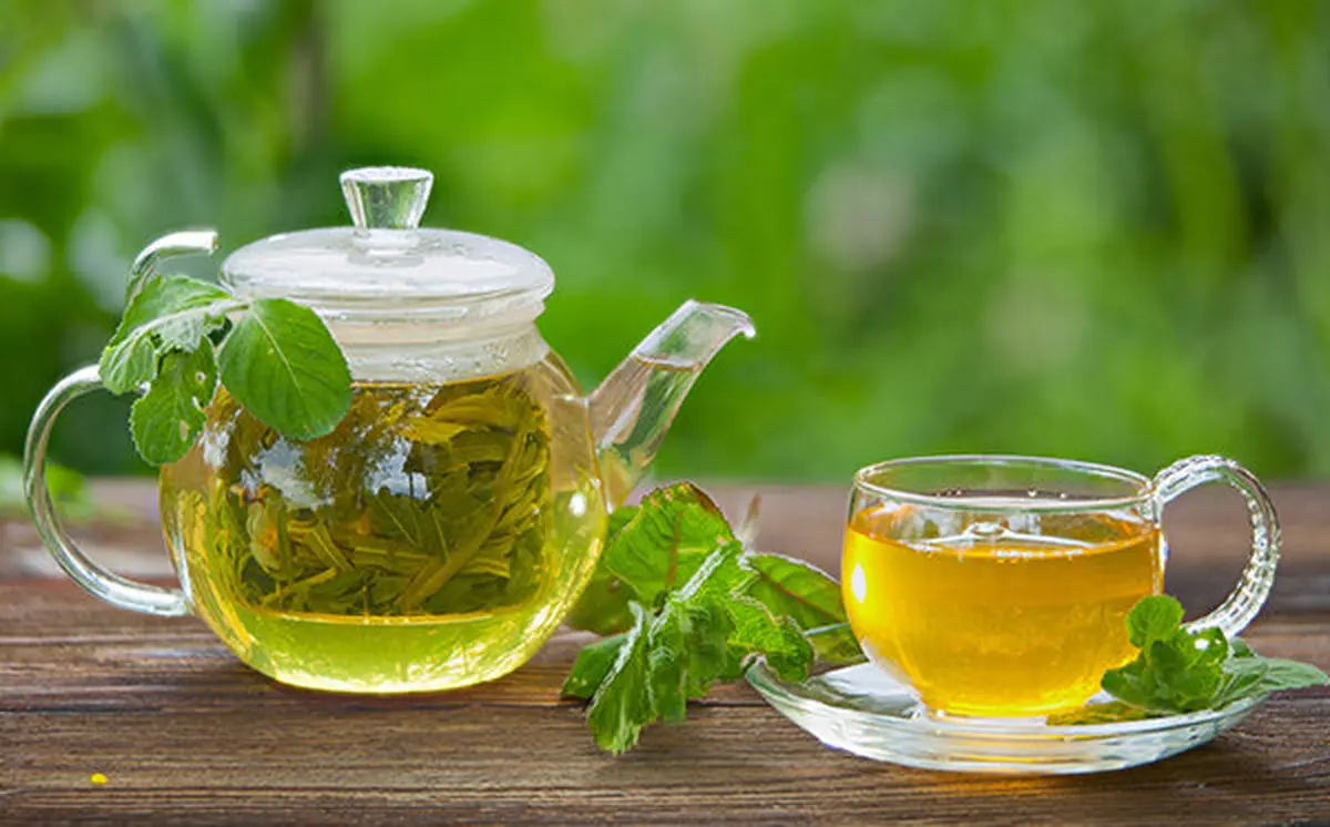 با این ۱۵ خوراکی‌ سیستم ایمنی بدنتان را در برابر کرونا تقویت کنید