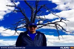 پست آبی بهنام تشکر/ عکس