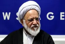 مصباحی‌مقدم: جریاناتی که مدعی‌اند رئیس‌جمهور اختیار ندارد، وارد انتخابات نشوند