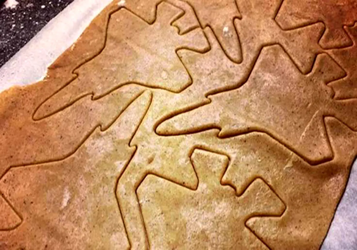 عذرخواهی دولت نروژ به خاطر انتشار یک عکس در اینستاگرام + تصویر