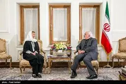 پوشش سفیر سوئد در دیدار با ظریف/عکس