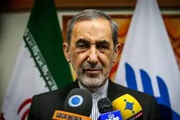 ولایتی: دو ملت عراق و ایران هیچ اختلاف و تفاوتی بین قم و نجف قائل نیستند