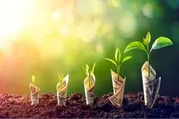 بهترین روش های سرمایه گذاری آنلاین با دریافت سود روزانه
