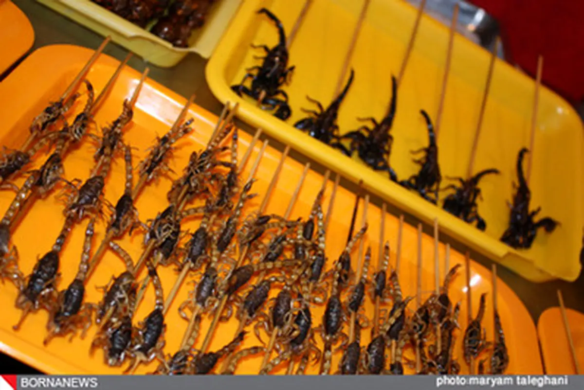 چندش آورترین غذاهای دنیا/تصاویر