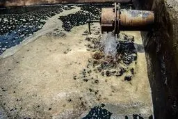 نشت نفت در مزارع جنوب تهران