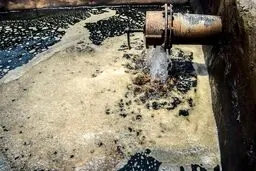 نشت نفت در مزارع جنوب تهران