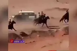 تصادف وحشتناک پليس با سواركاران! + ويدئو