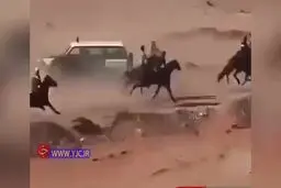 تصادف وحشتناک پليس با سواركاران! + ويدئو