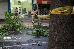بلایی که طوفان بر سر تهران آورد/تصاویر
