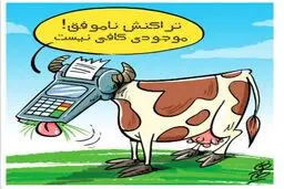 تراکنش گاوی!/کاریکاتور