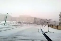 صبح برفی پردیس تهران/عکس