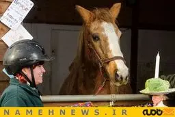 اسبی که مرگ ندارد!+عکس