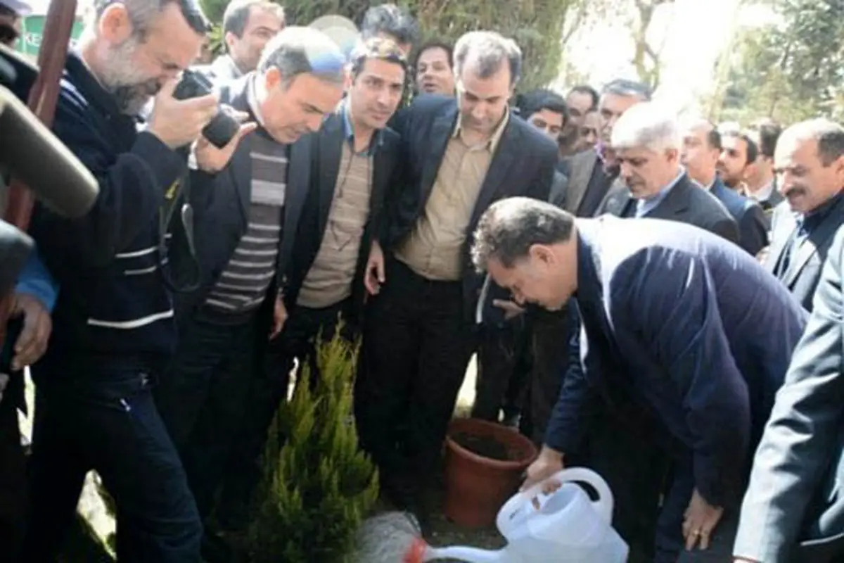 عکس/ درختکاری علی دایی و فردوسی پور