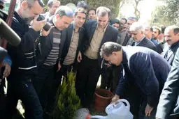 عکس/ درختکاری علی دایی و فردوسی پور