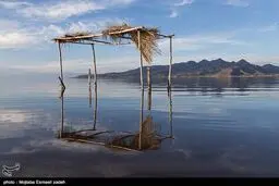 بازگشت زندگی به دریاچه ارومیه/تصاویر
