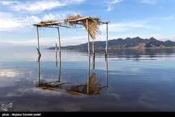بازگشت زندگی به دریاچه ارومیه/تصاویر