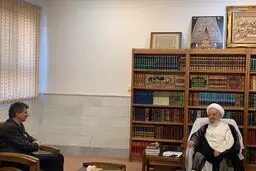 سفیر ترکیه با مراجع و علما در قم ديدار كرد + عكس