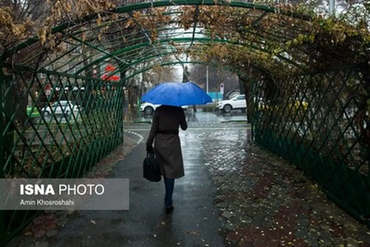 اولین بارش زمستانی در تهران/تصاویر