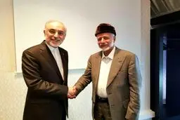 دیدار صالحی با بن علوی
