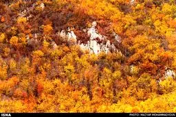 عکس/ برگریزان پاییزی در آبشار کبودوال