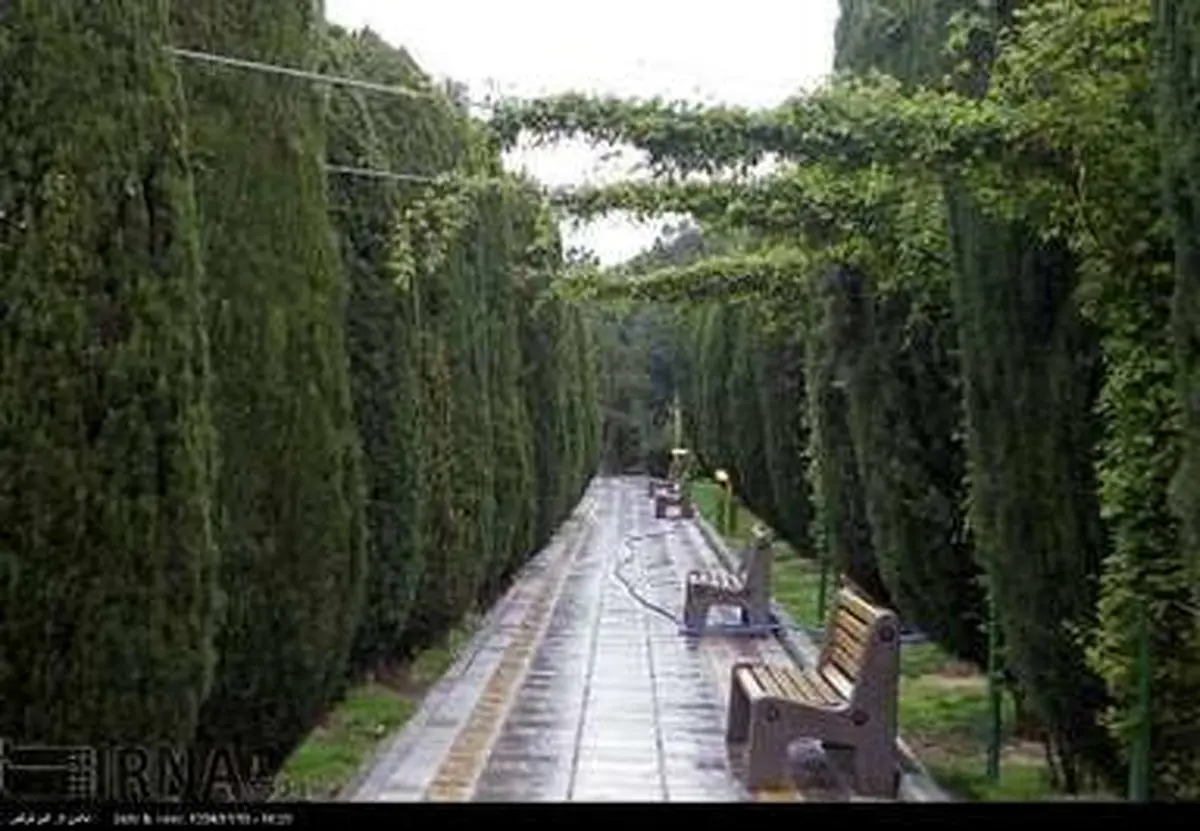 تهران بارانی/ تصاویر