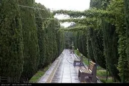 تهران بارانی/ تصاویر