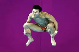 یک شیرجه طلایی /عکس