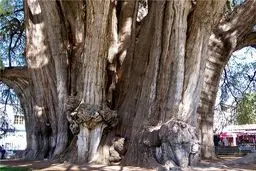 جاذبه جالب گردشگری مکزیک+عکس