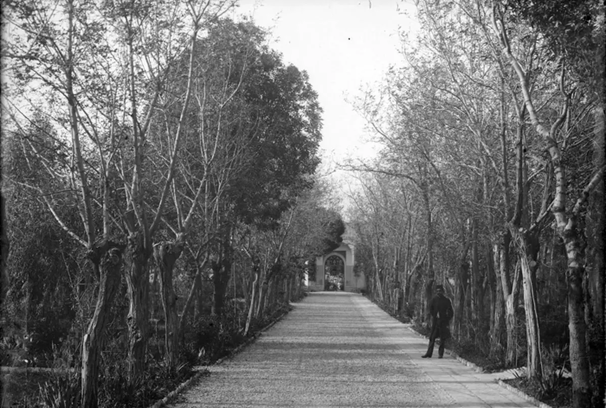 عکس دیده نشده از باغ نامعلوم در تهران