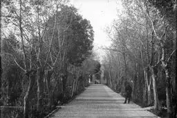 عکس دیده نشده از باغ نامعلوم در تهران