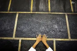 جایی که باید عاشقی کرد/تصاویر