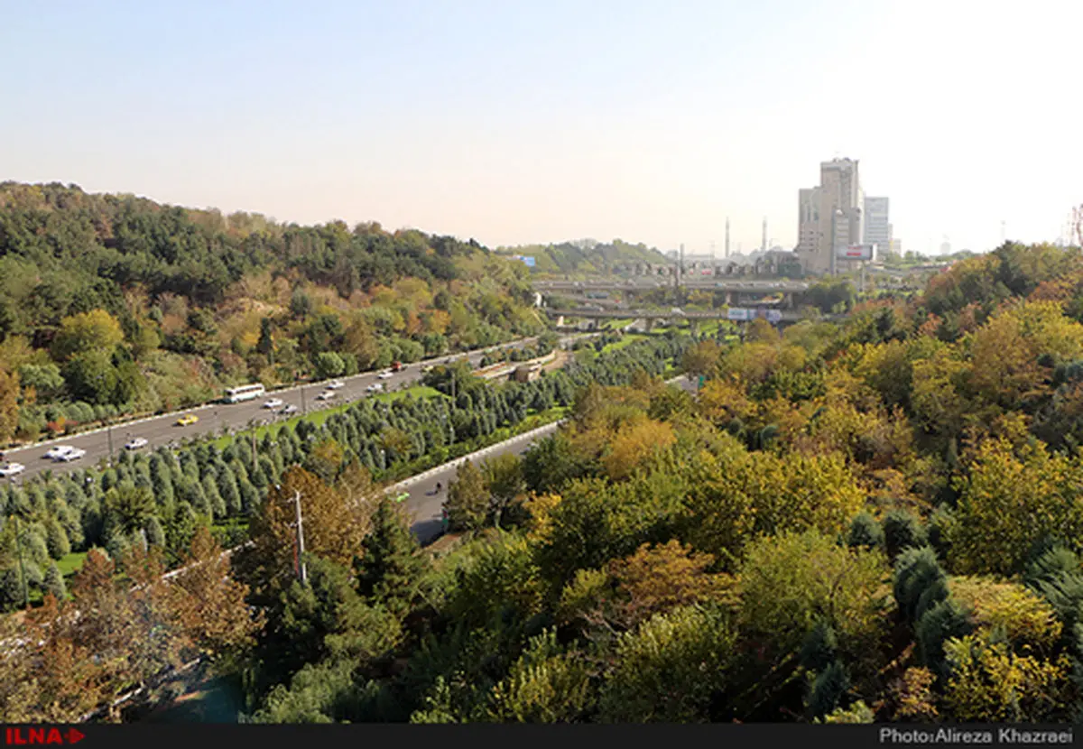 تهران پس از باران/تصاویر