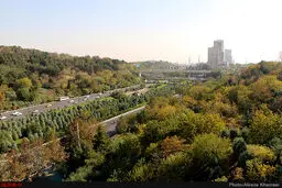 تهران پس از باران/تصاویر