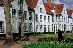 بروکسل، شهر امنی که ناامن شد/تصاویر