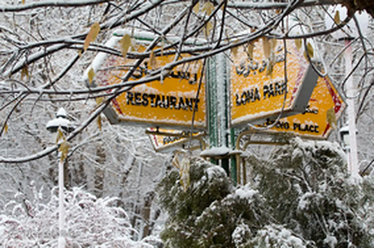 تصاویری از سفید پوش شدن تبریز