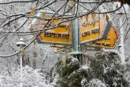 تصاویری از سفید پوش شدن تبریز