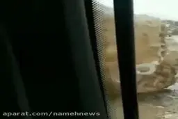 ببینید: ریزش کوه و سقوط سنگ غول پیکر در جاده یاسوج