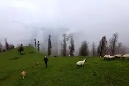 ببینید : منطقه‌ای رویایی و استثنایی در مرز کوهستانی گیلان و اردبیل