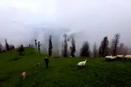 ببینید : منطقه‌ای رویایی و استثنایی در مرز کوهستانی گیلان و اردبیل