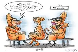 کاریکاتور/ شاکیان پسر پرحاشیه تلگرامی!