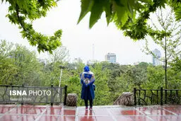 بارش باران تهران را زیبا کرد/تصاویر