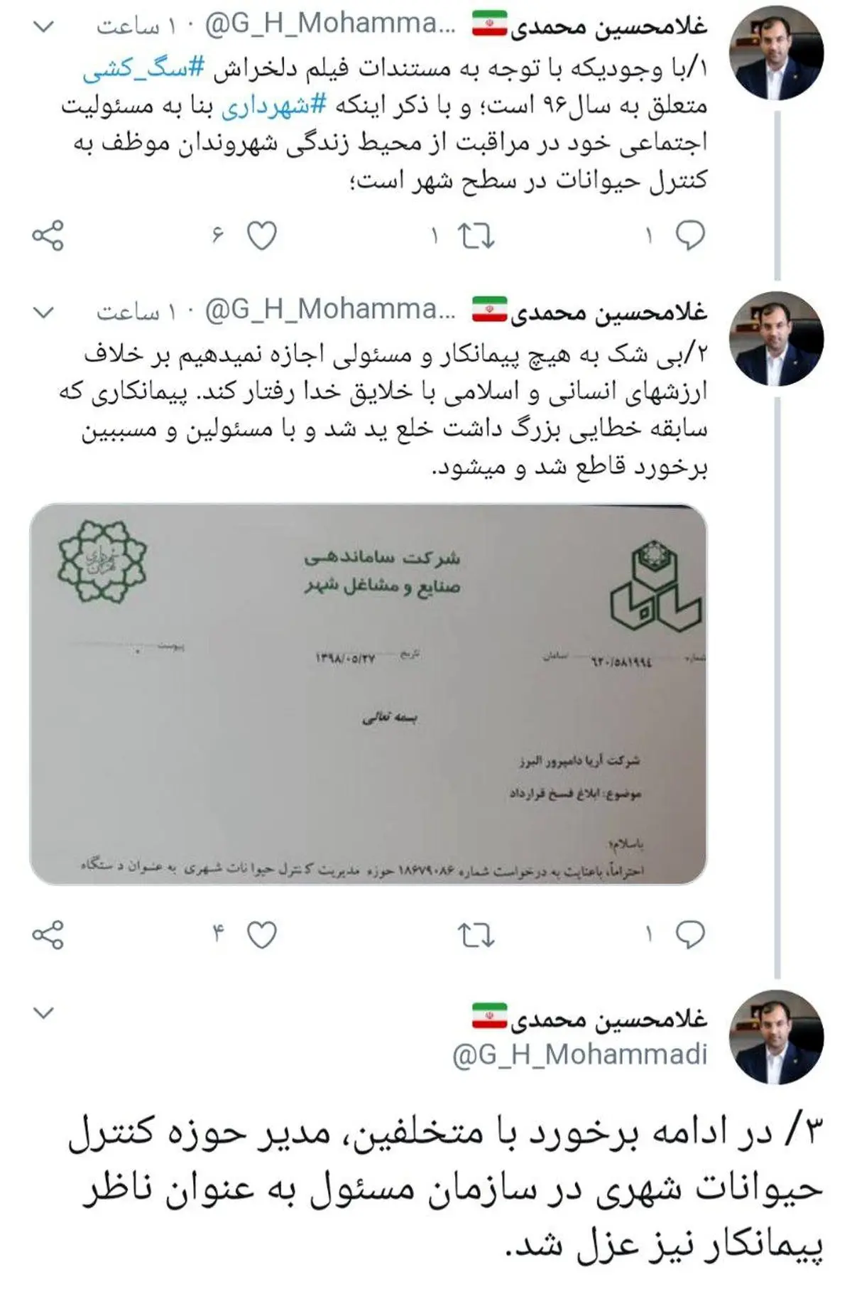 واکنش شهرداری به ماجرای کشتن سگ های ولگرد توسط پیمانکار