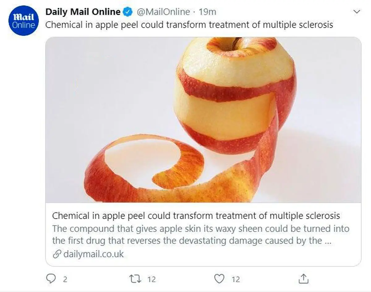 پوست این میوه در درمان بیماری MS معجزه می کند! + توئیتر