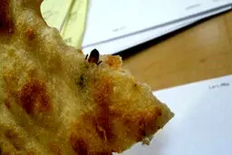 نان سنگک با طعم سوسک! /عکس