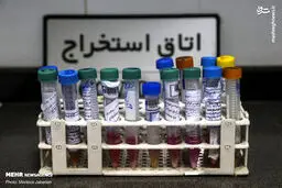 تصاویر/ آزمایشگاه تخصصی تشخیص کرونا در اهواز