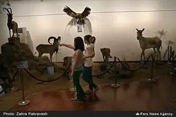 200 هزار سال همبودی انسان و جانوران در ایران‌ زمین/ تصاویر