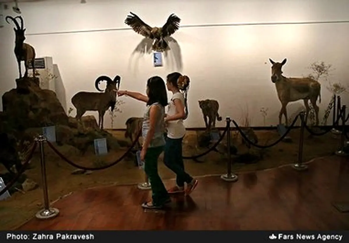 200 هزار سال همبودی انسان و جانوران در ایران‌ زمین/ تصاویر