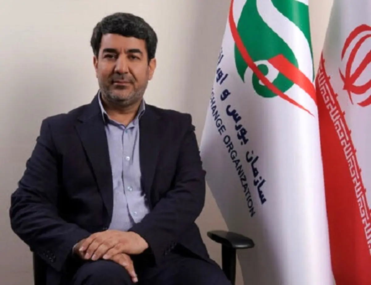 ابراهیمی سروعلیا: بورس ظرفیت رشد ۷۰ درصدی دارد/ بازار سرمایه با دستور کنترل نمی‌شود