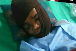 حمله خرس به پسر جیرفتی +عکس